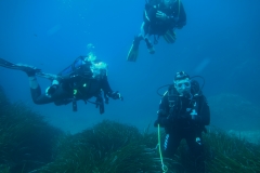 cavalaire 2016 PV (11)